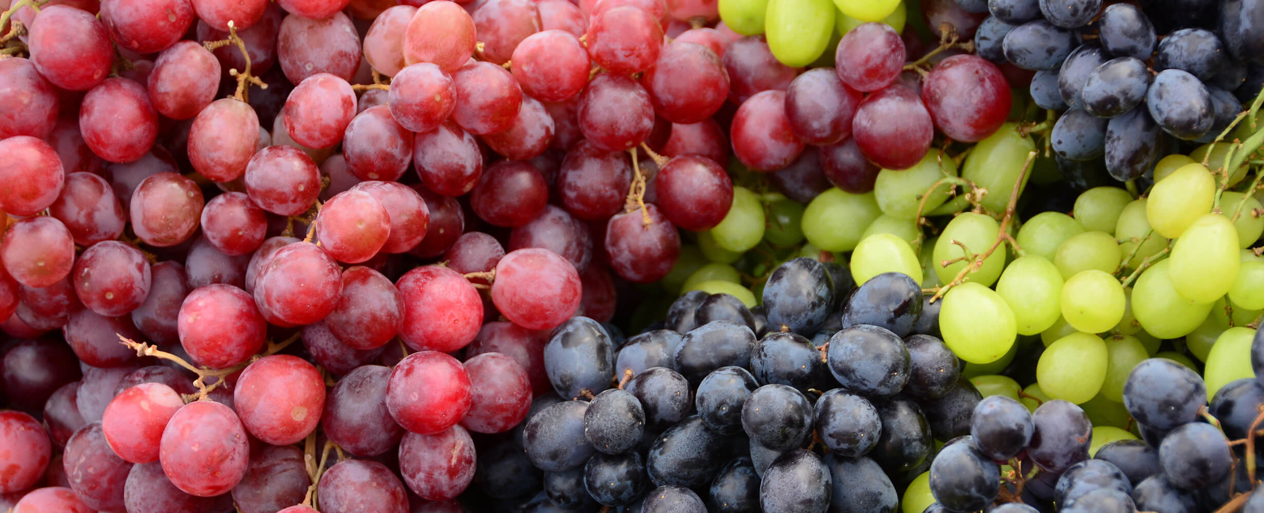An assortment of Red, Black, and Green Organic California Grapes