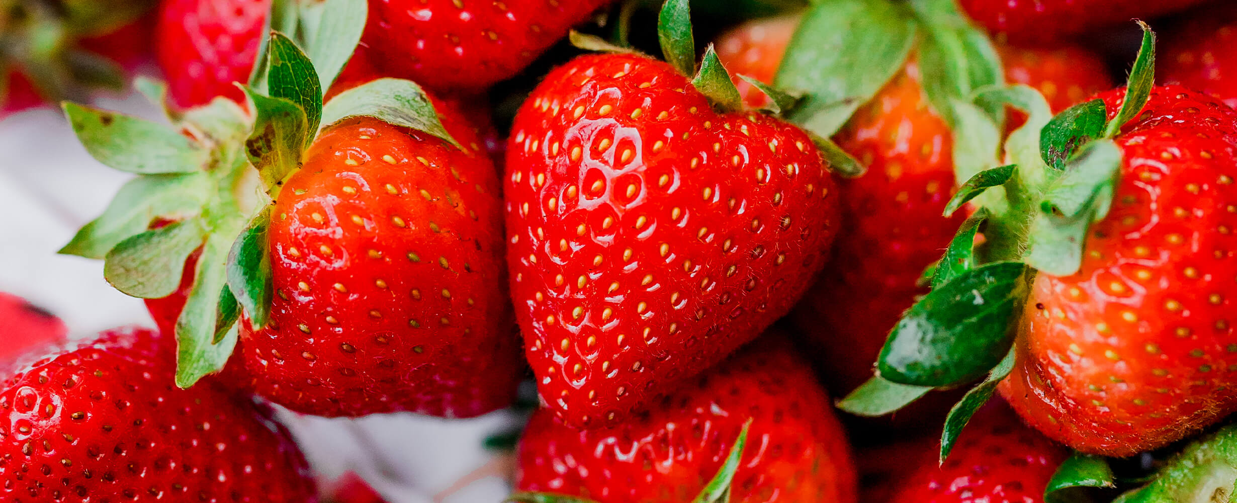 A group of local Oregon grown strawberries
