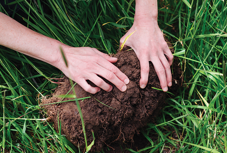 Two hands inspecting a clod of dirt in a field. 