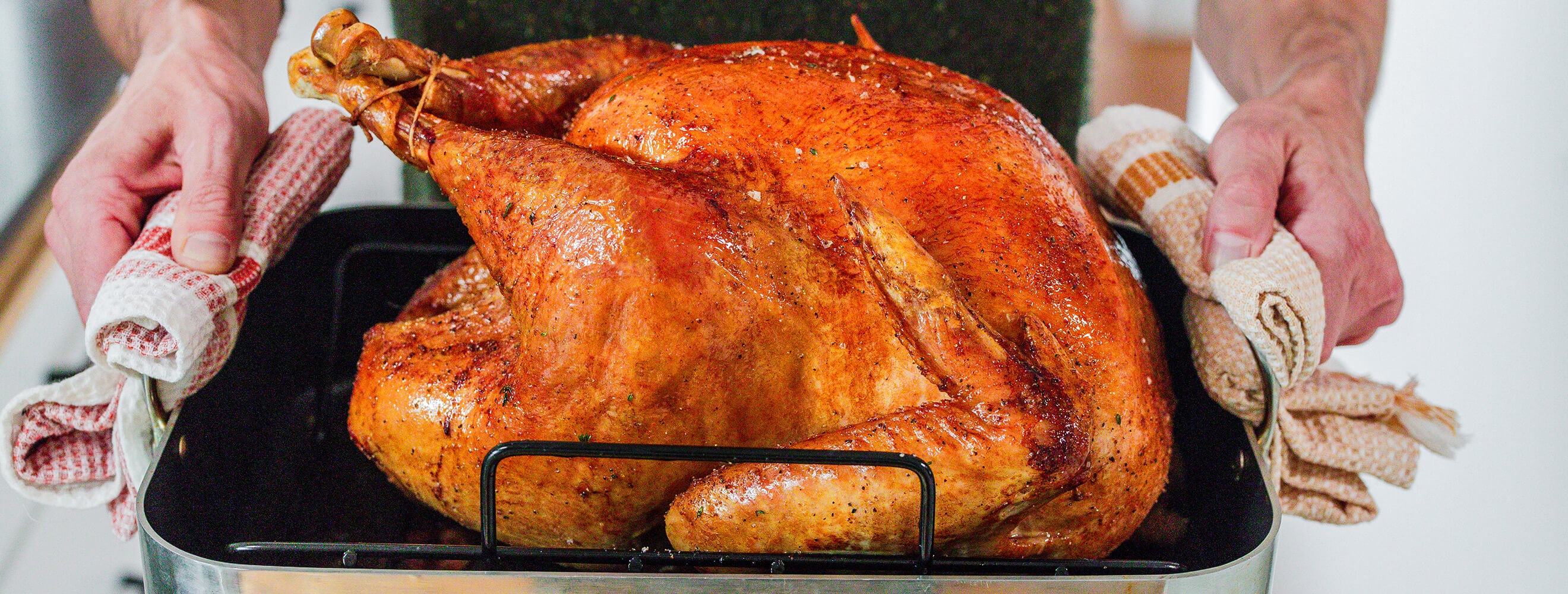 a person holding a roasting pan with a cooked turkey