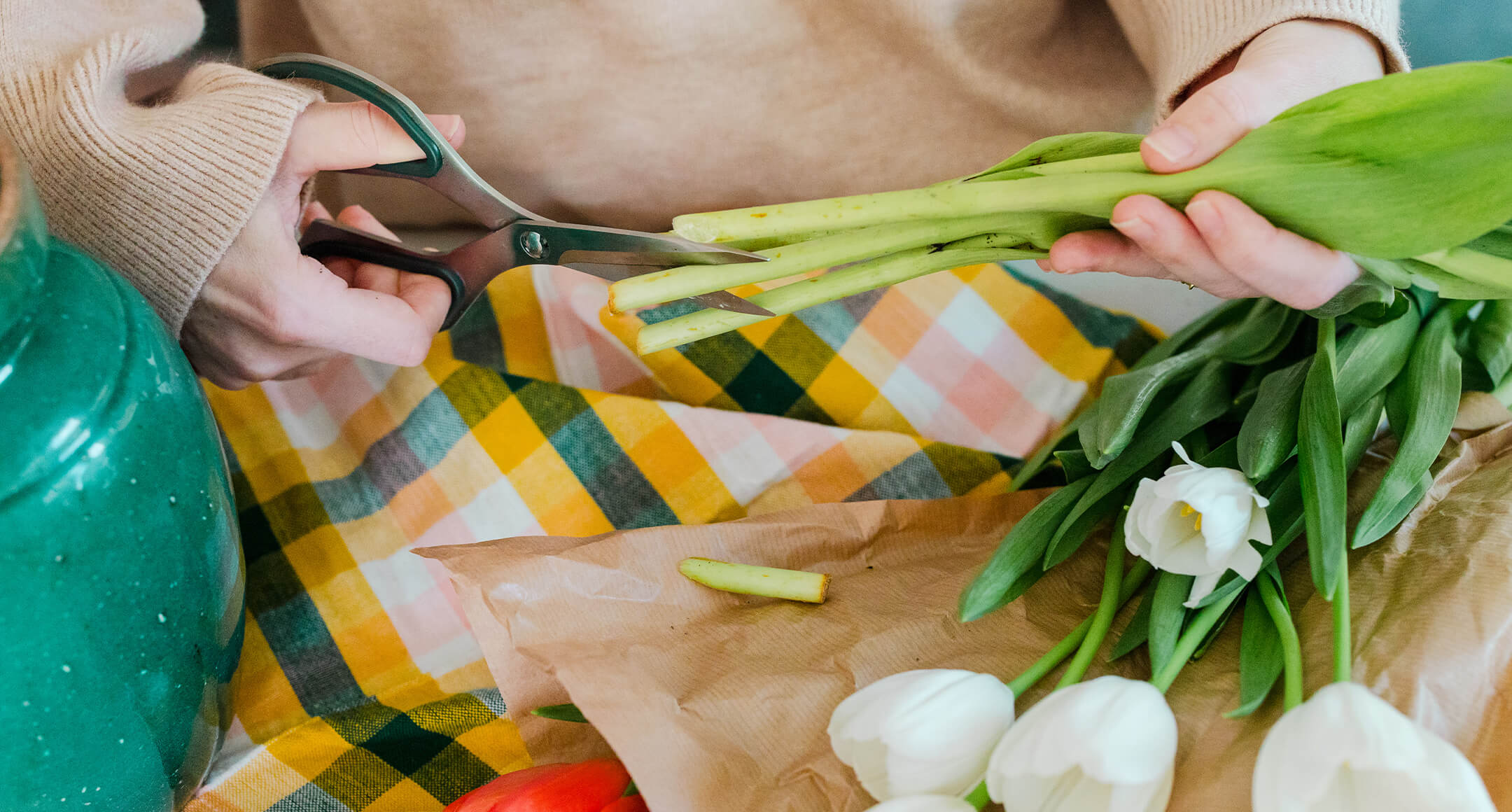 A close-up showing two hands cutting the stem bottoms off of a bunch of tulips.