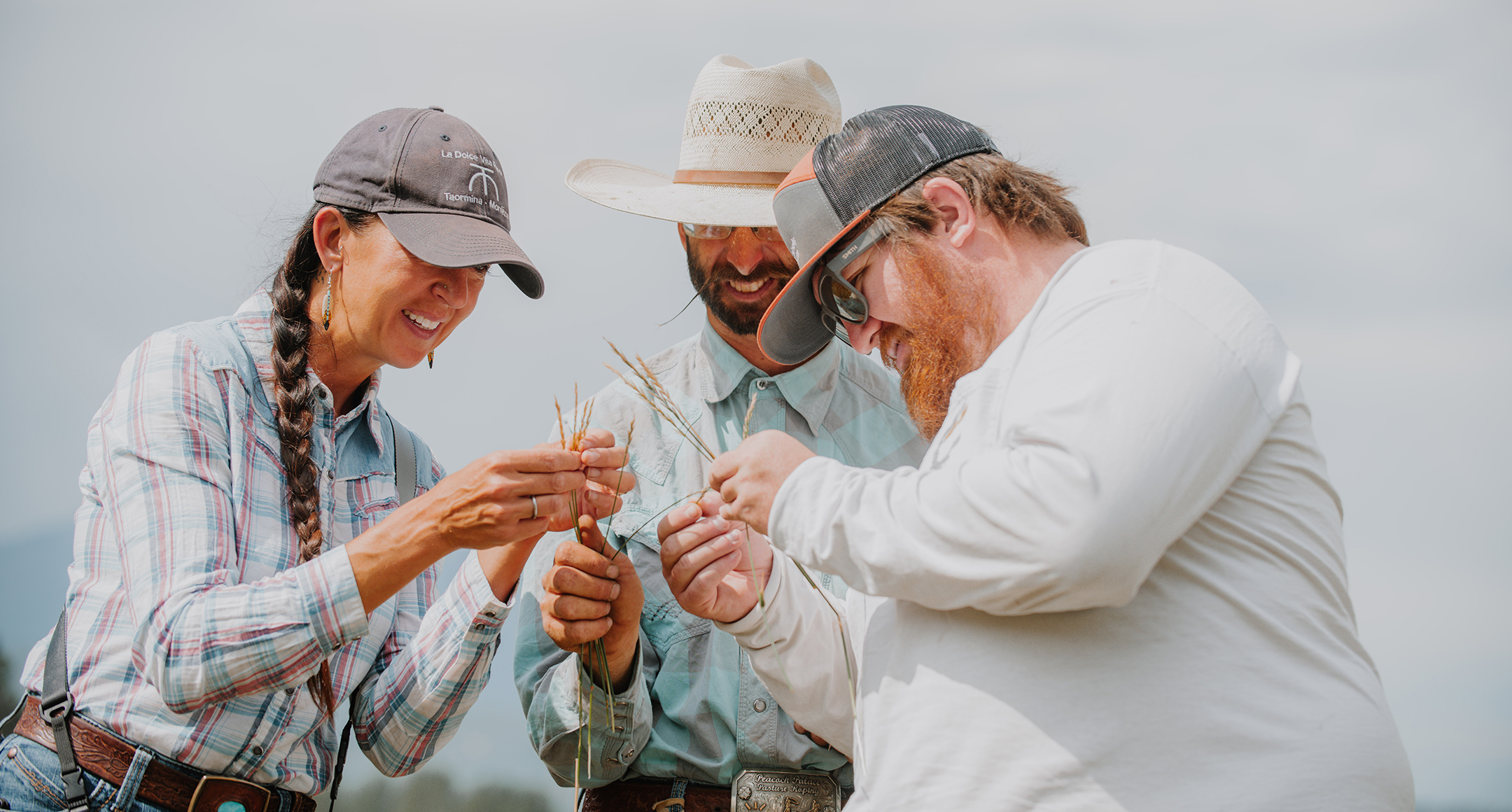 Three Country Natural Beef ranchers standing close together holding small strands of wheat.