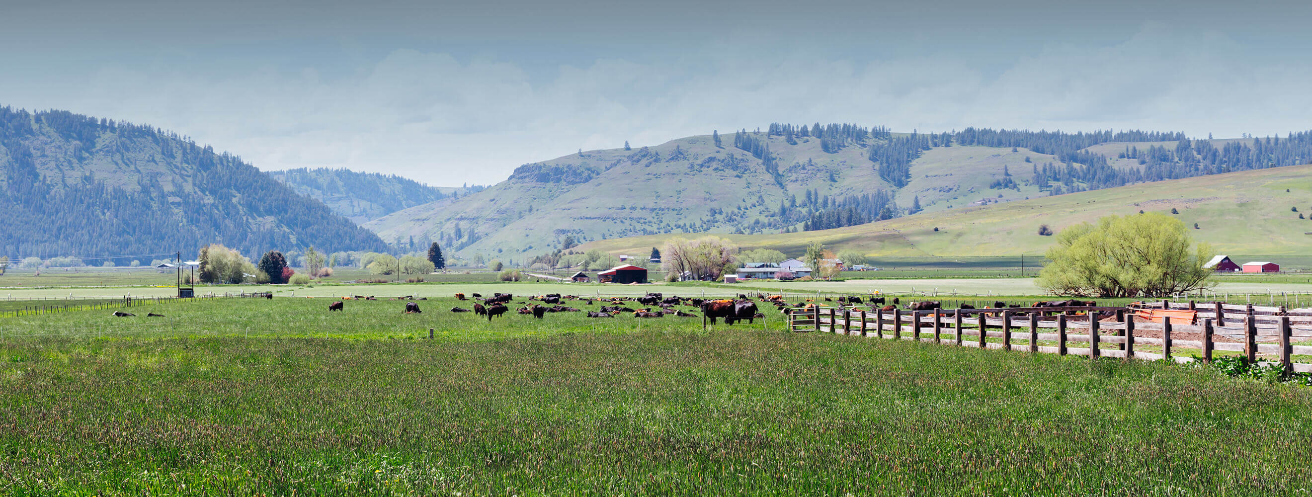 landscape of a farm with livestock and a fence in the foreground and a mountain range in the background