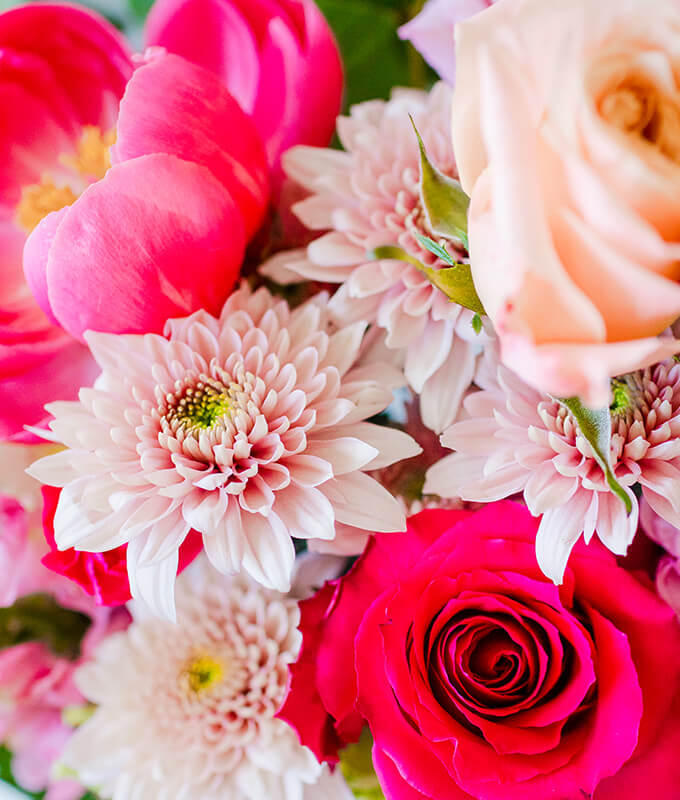 a closeup photo of flowers in shades of red, pink and white.