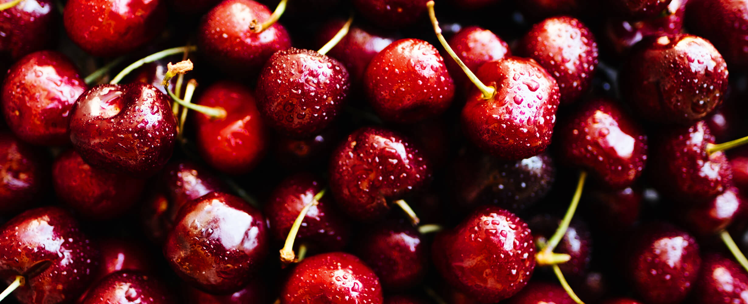 A bunch of Maryhill Cherries