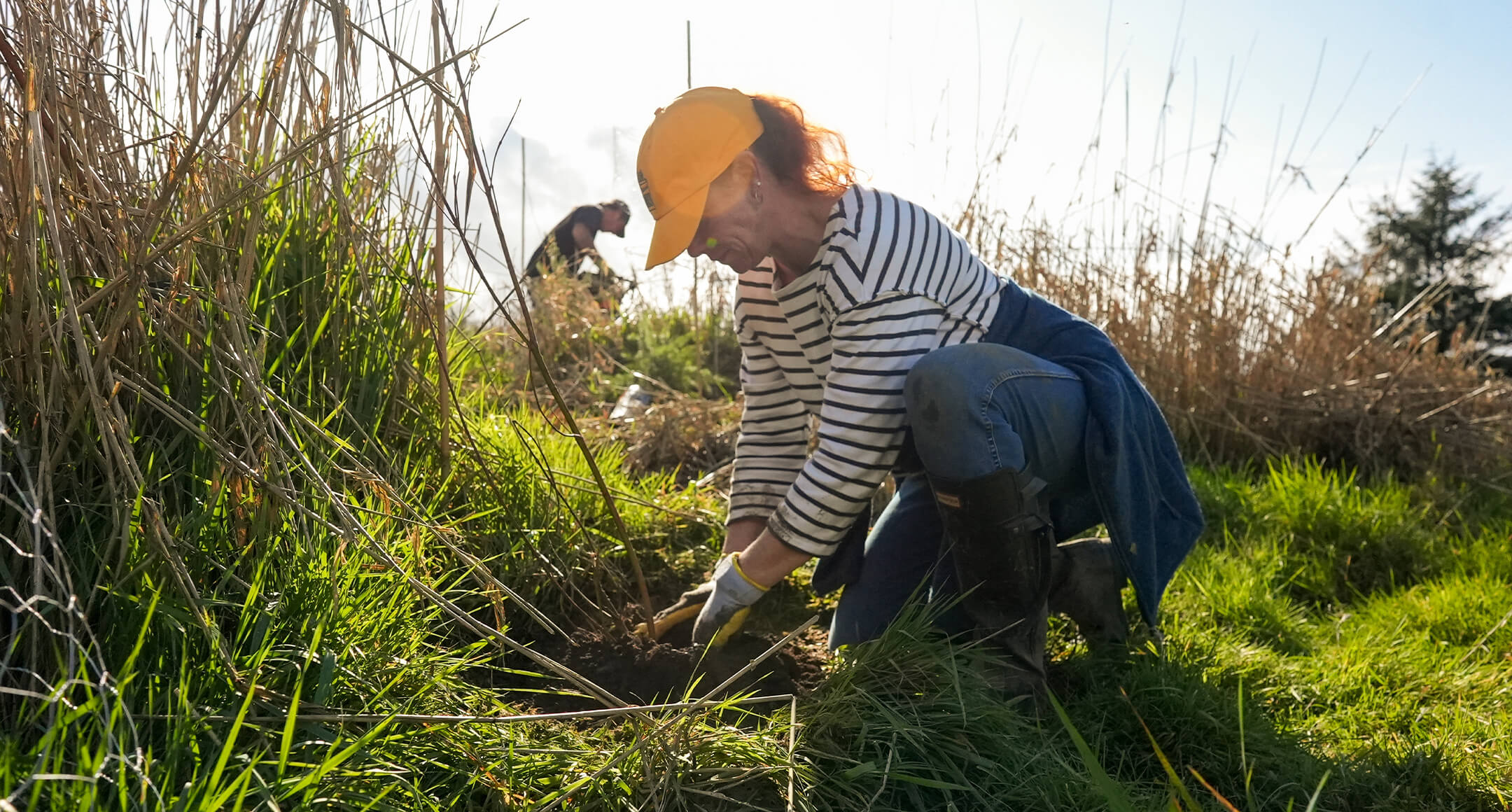 A planting event volunteer kneeling on the ground and scooping dirt around the base of a small tree they are planting.