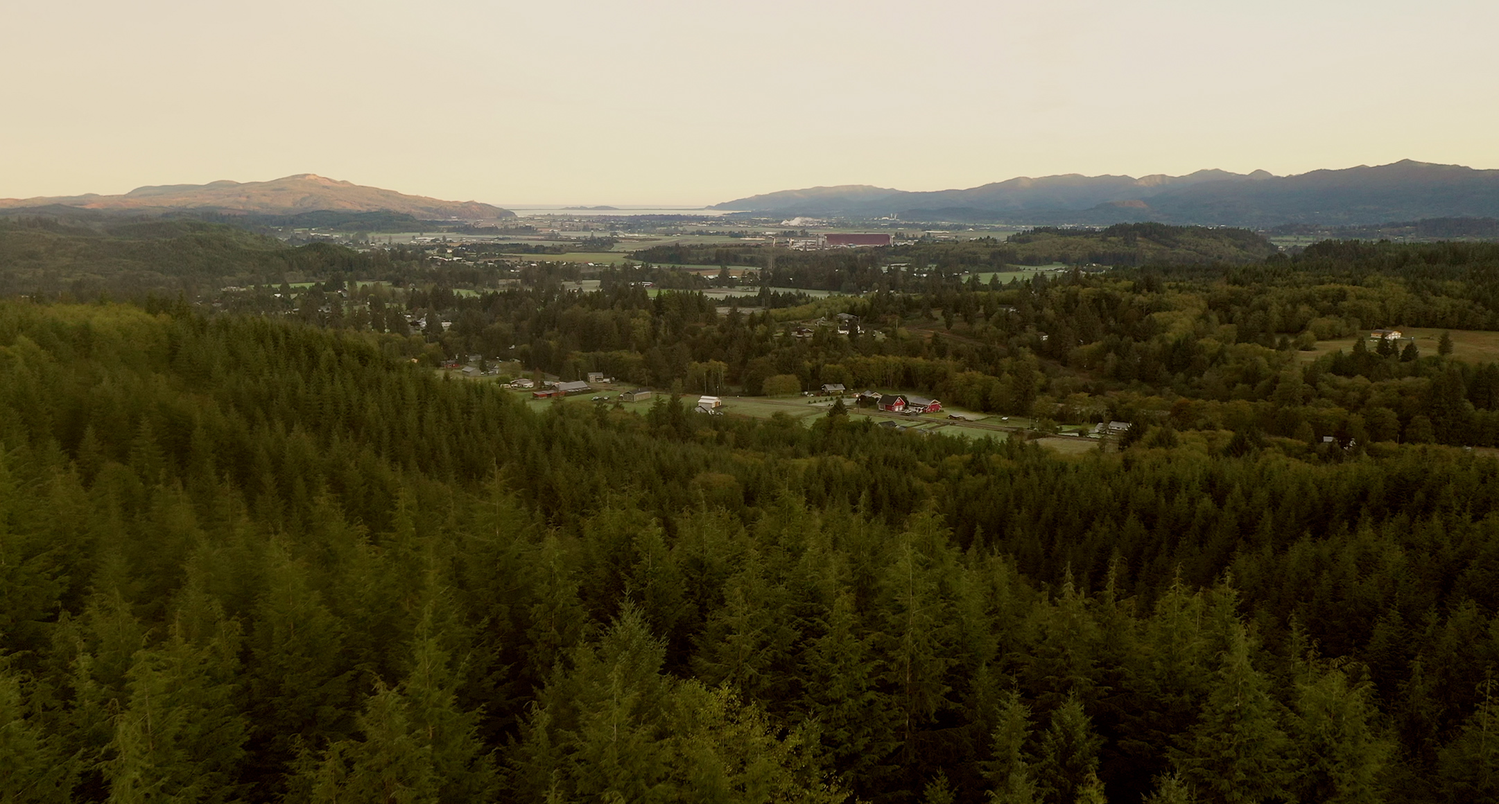 An aerial view of Tillamook County Creamery Association’s tree-lined farmland in Oregon.