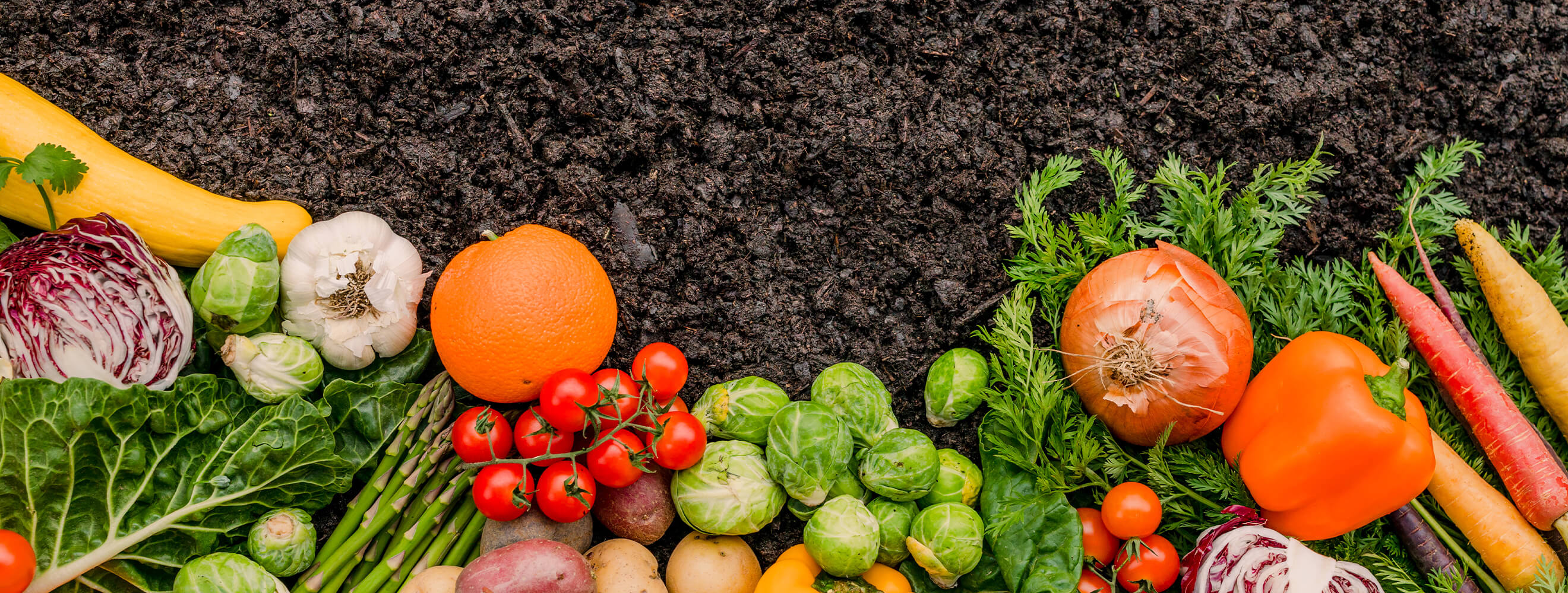 An array of fruits and vegetables