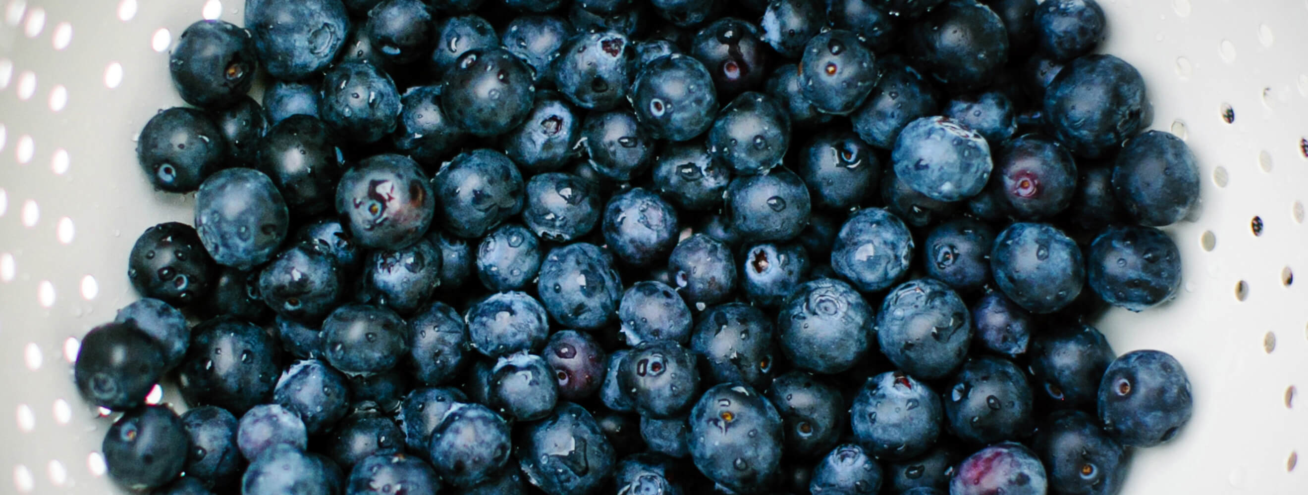 a close up photo of fresh blueberries