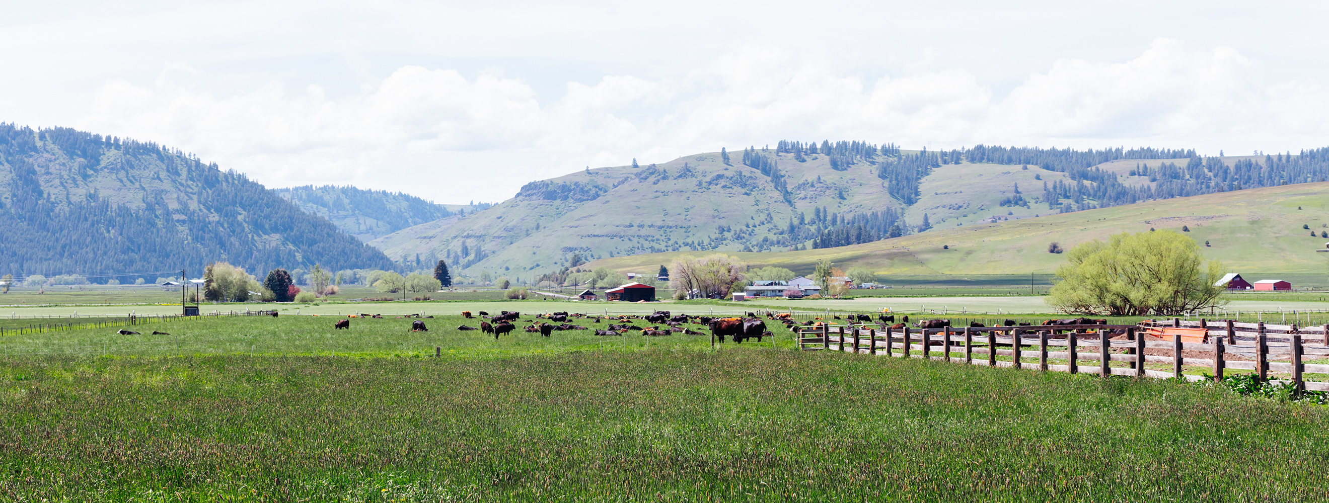 landscape of a farm with livestock and a fence in the foreground and a mountain range in the background