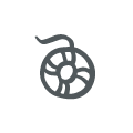 Life preserver icon