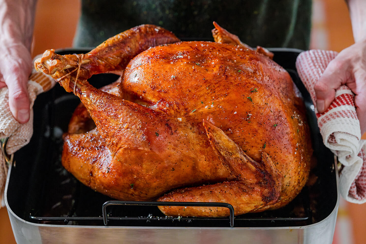 Turkey in a roasting pan