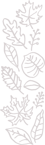 an illustration of falling leaves.